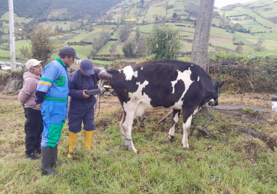 ATENCIÓN PECUARIA